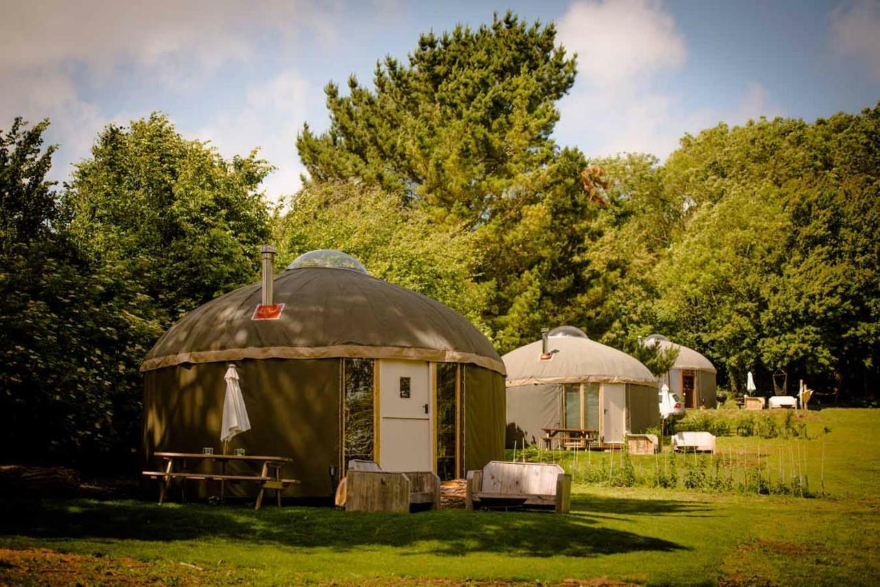 The Garlic Farm Villa Sandown Exteriör bild